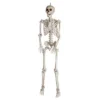 Gemmy 5 Ft. Bone Skeleton With Open Mouth