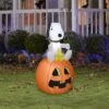 Airblown Snoopy And Woodstock Inflatable Yard & Lawn Decoration